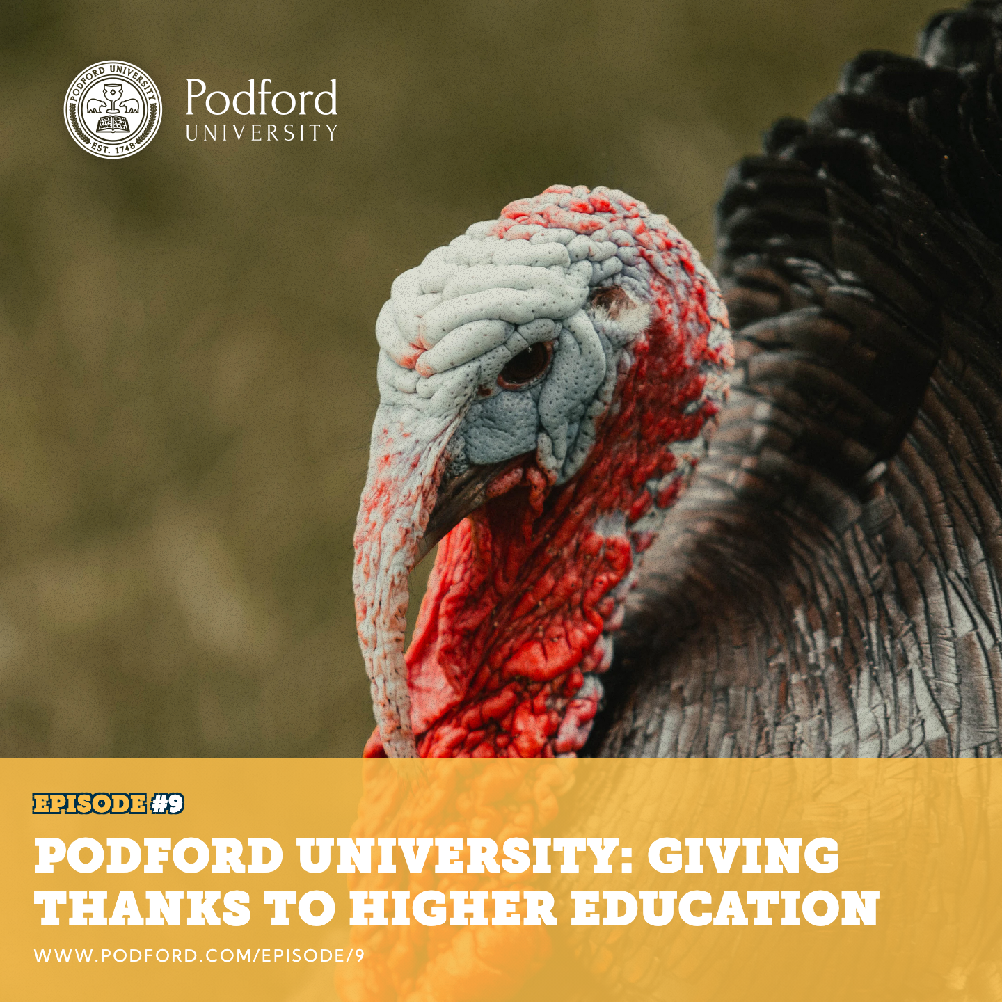 Giving Thanks to Higher Education